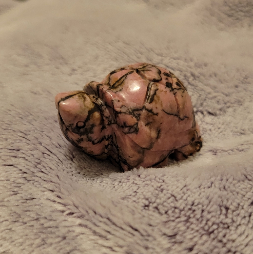 Rhodonite Turtle